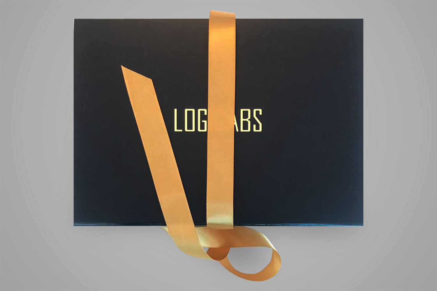 logicabs-producto-03